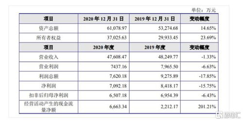 金智教育科創(chuàng)板IPO 聚焦高等教育信息化，2020年營收達4.7億元，軟件開發(fā)為核心引擎