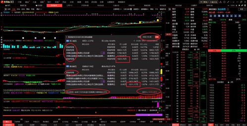 情緒冰點中靜候企穩(wěn) 2022年10月28日信息系統(tǒng)集成服務漲停板復盤