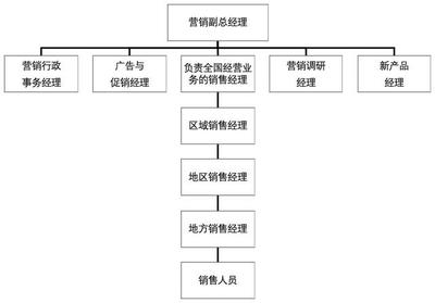 市場(chǎng)營銷策劃實(shí)操指導(dǎo)手冊(cè) 從戰(zhàn)略到執(zhí)行的全流程解析